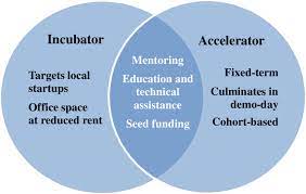 Accelerators vs Incubators